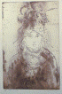 lady.gif (105426 bytes)