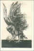 hawk.jpg (34789 bytes)