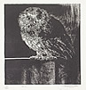 Birds of Prey