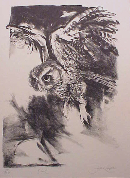 owl_coughlin.jpg (138329 bytes)